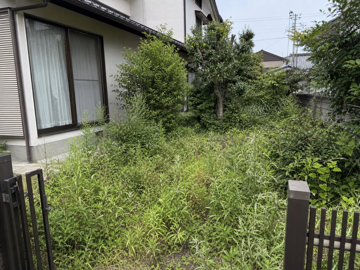 施工前：荒れていた庭（見本）